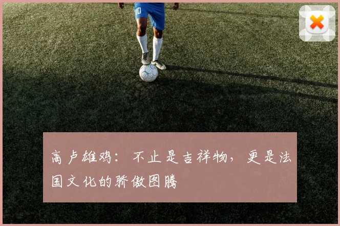 高卢雄鸡:不止是吉祥物,更是法国文化的骄傲图腾