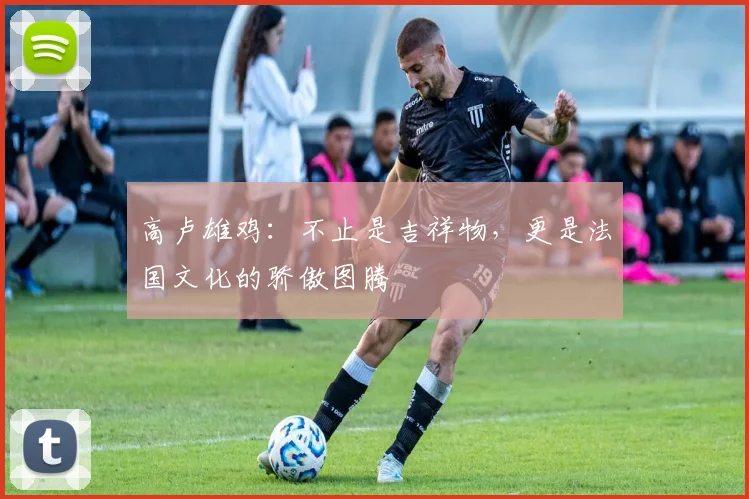 高卢雄鸡:不止是吉祥物,更是法国文化的骄傲图腾